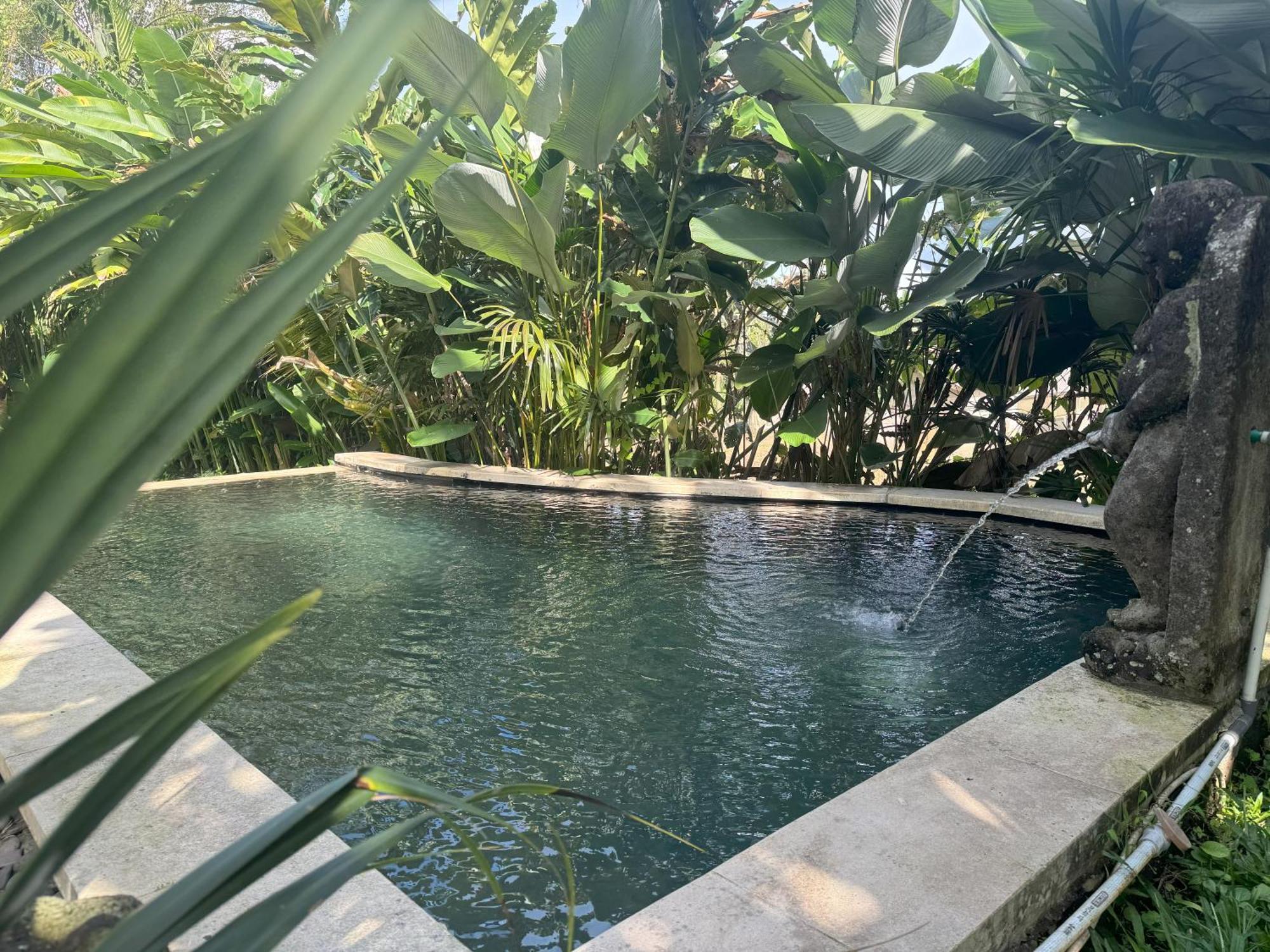 Dewa Jati Cottages กีอันยาร์ ภายนอก รูปภาพ