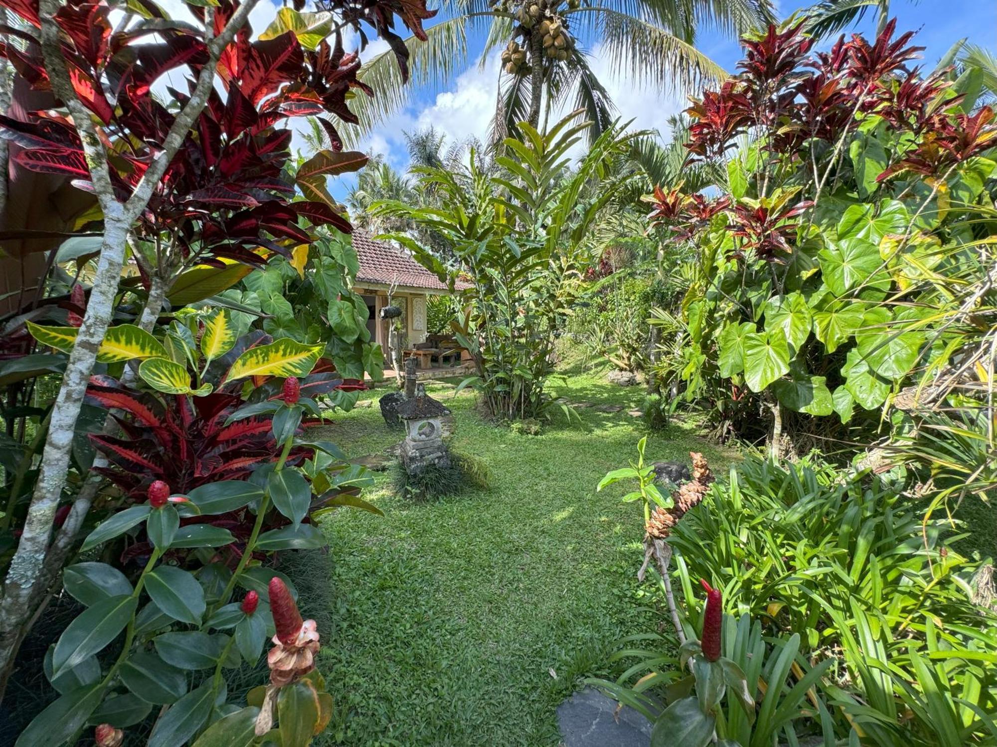 Dewa Jati Cottages กีอันยาร์ ภายนอก รูปภาพ