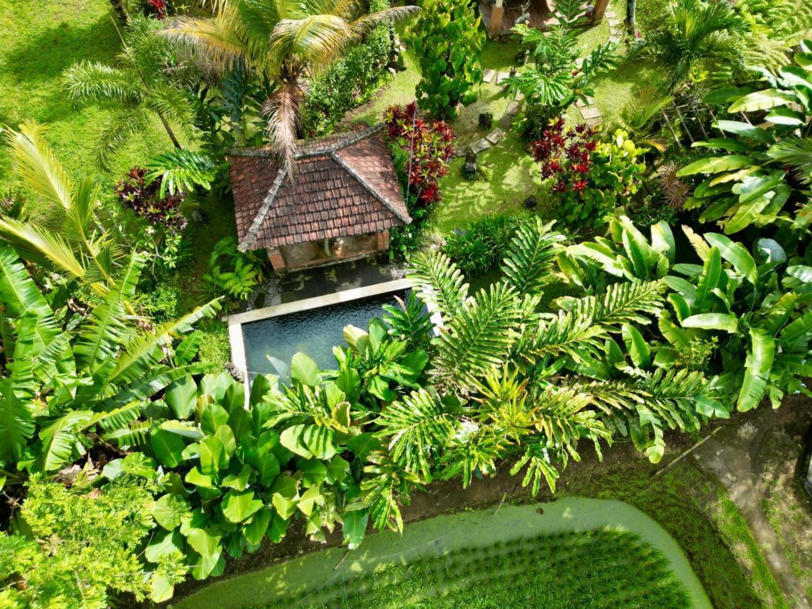 Dewa Jati Cottages กีอันยาร์ ภายนอก รูปภาพ