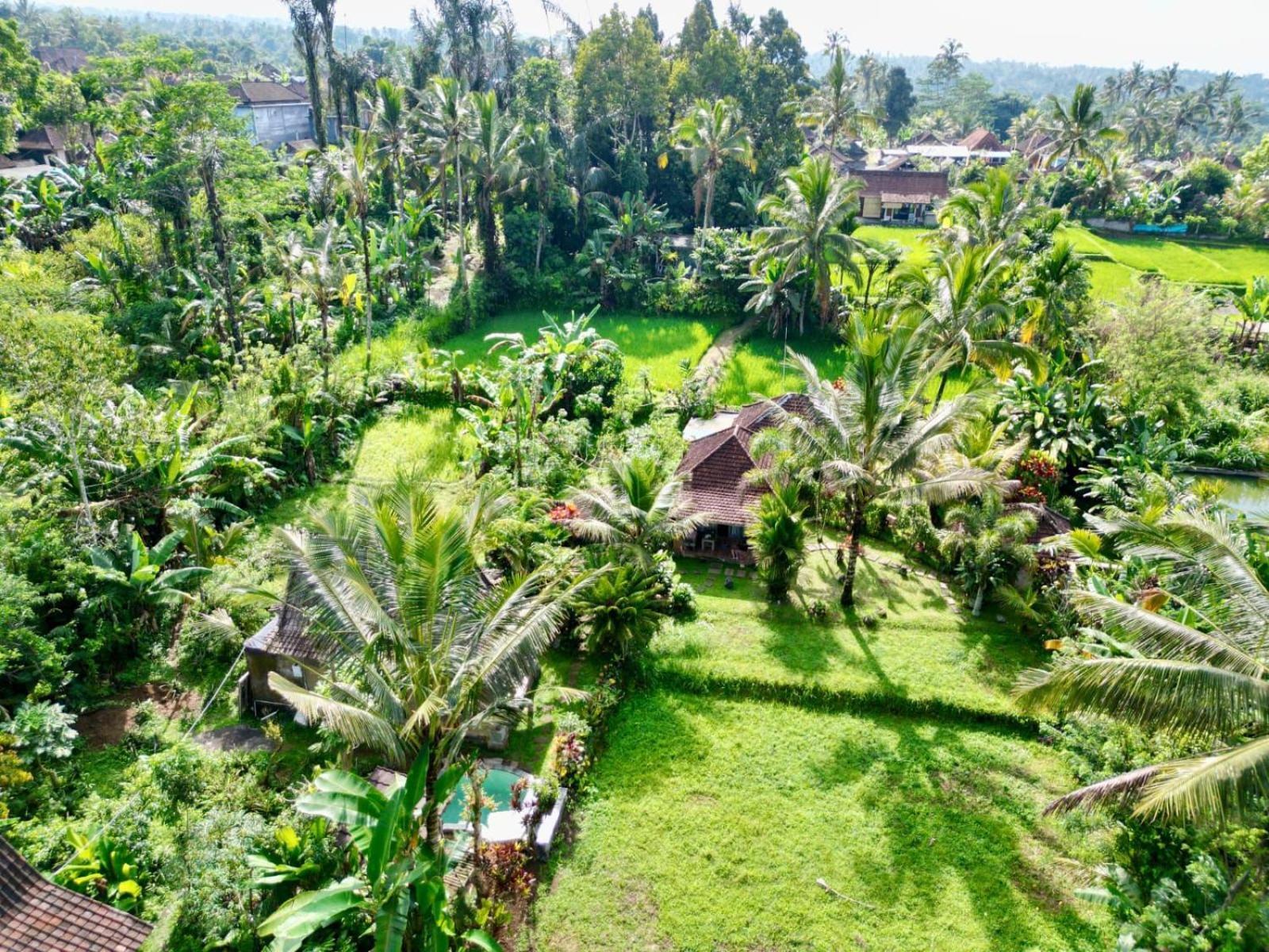 Dewa Jati Cottages กีอันยาร์ ภายนอก รูปภาพ
